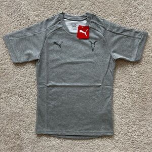 Puma Chivas Guadalajara T-Shirt Men Size Small Gray Casual Tee NEW